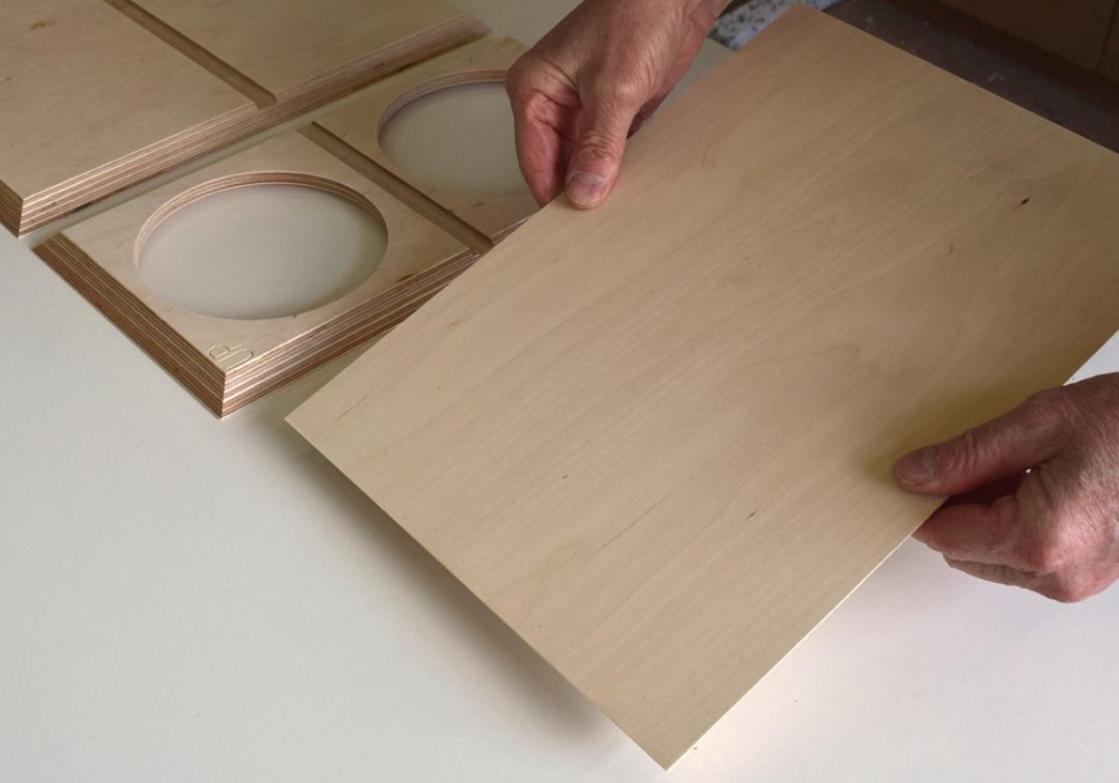 Cinetor Evo Birke MPX 007